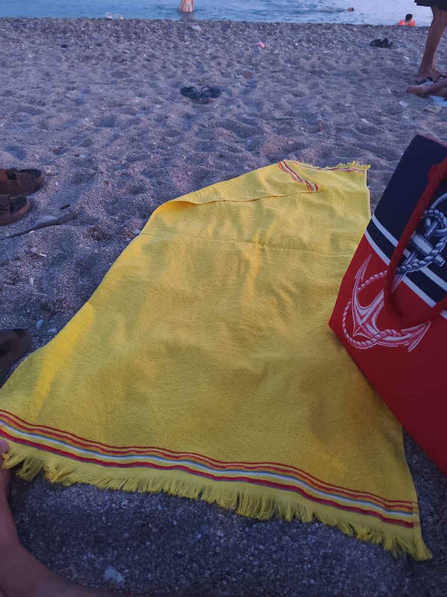Miami Beach Πετσέτα Παραλίας Ζακάρ Σχέδιο Φύλλων Unisex 70x150 100% Βαμβάκι – Ροζ