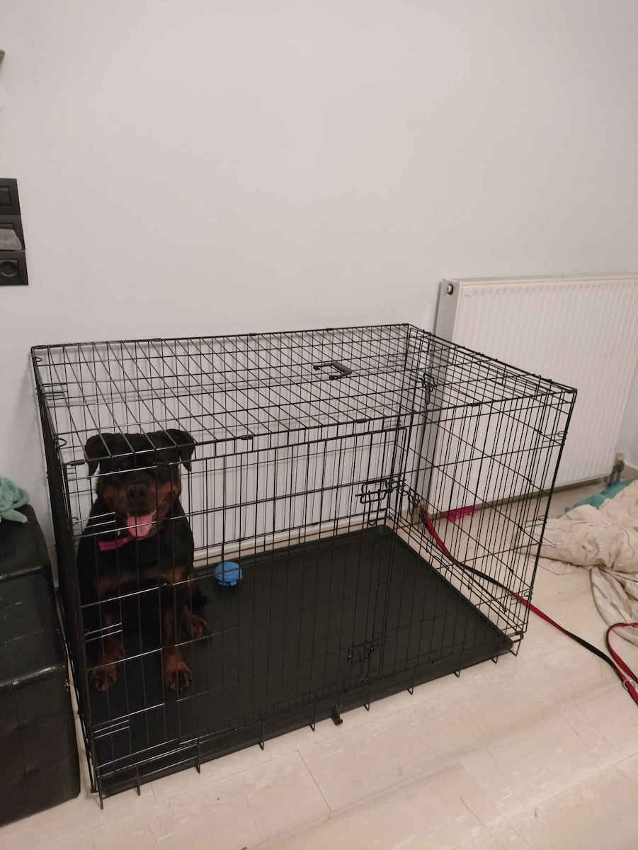 Tradesor Hunde-Drahtkäfige mit 2 Türen Schwarz 122x75,5x84cm