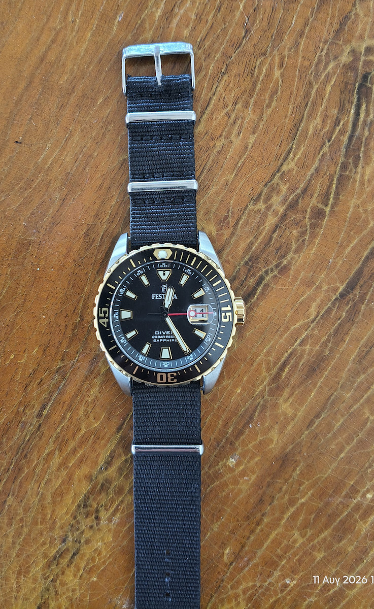Festina Ceas Barbat cu Baterie si Brățară din Metal Argintie