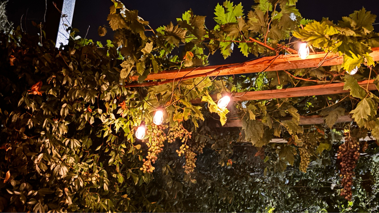 Rixme Hanging Solar Light Garland Warm White 2700K with Photocell and Remote Control 25cmcm