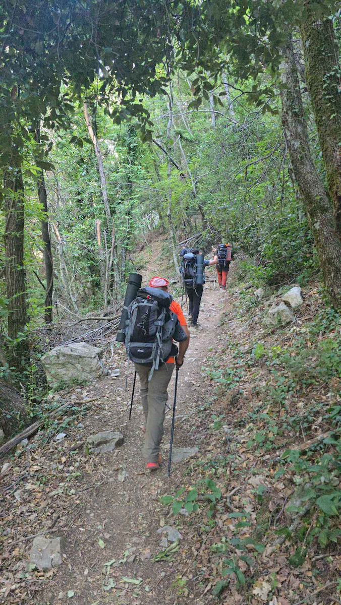 AlpinPro Eagle A-shock Τηλεσκοπικά Μπατόν Ορειβασίας Αλουμινίου 2τμχ Μαύρα