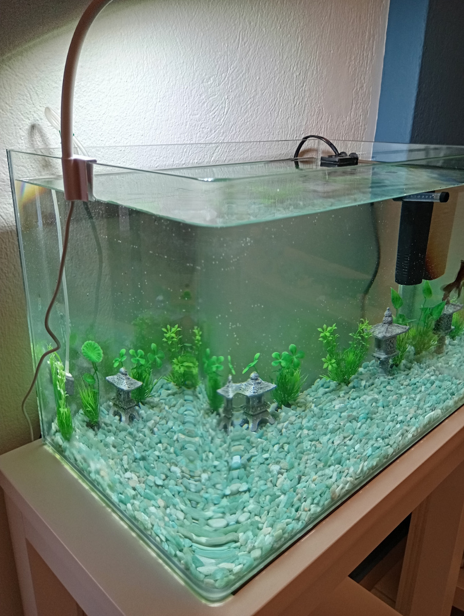 Fish Aquarium Capacity 38lt with 45x30x30cm White