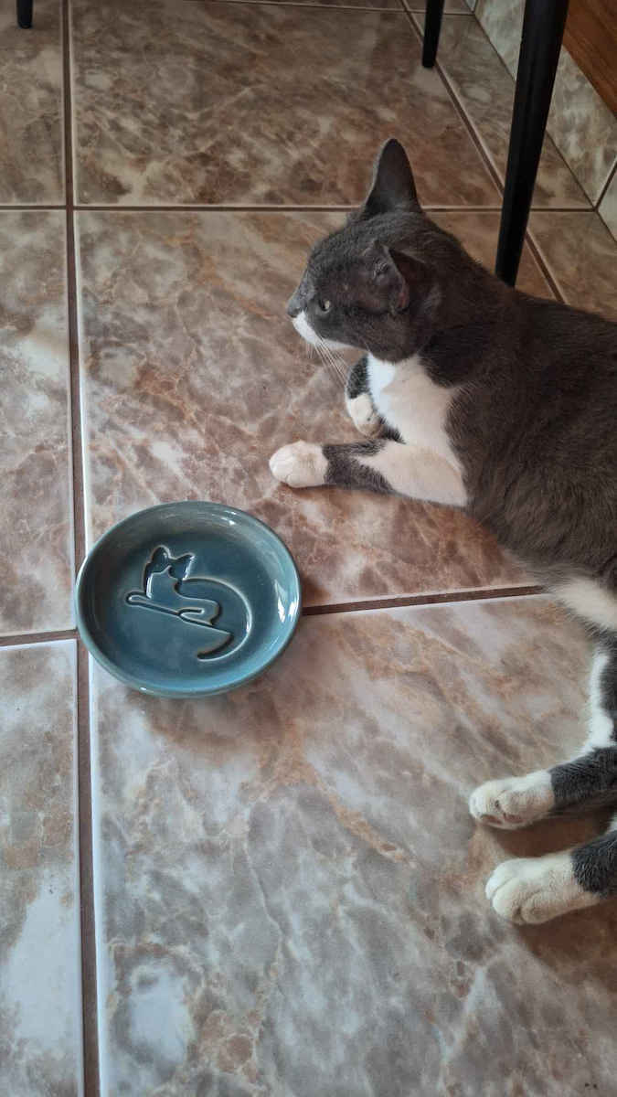 Trixie Bol Ceramic De Mâncare Și Apă Pentru Câine Și Pisică 300ml 15cm