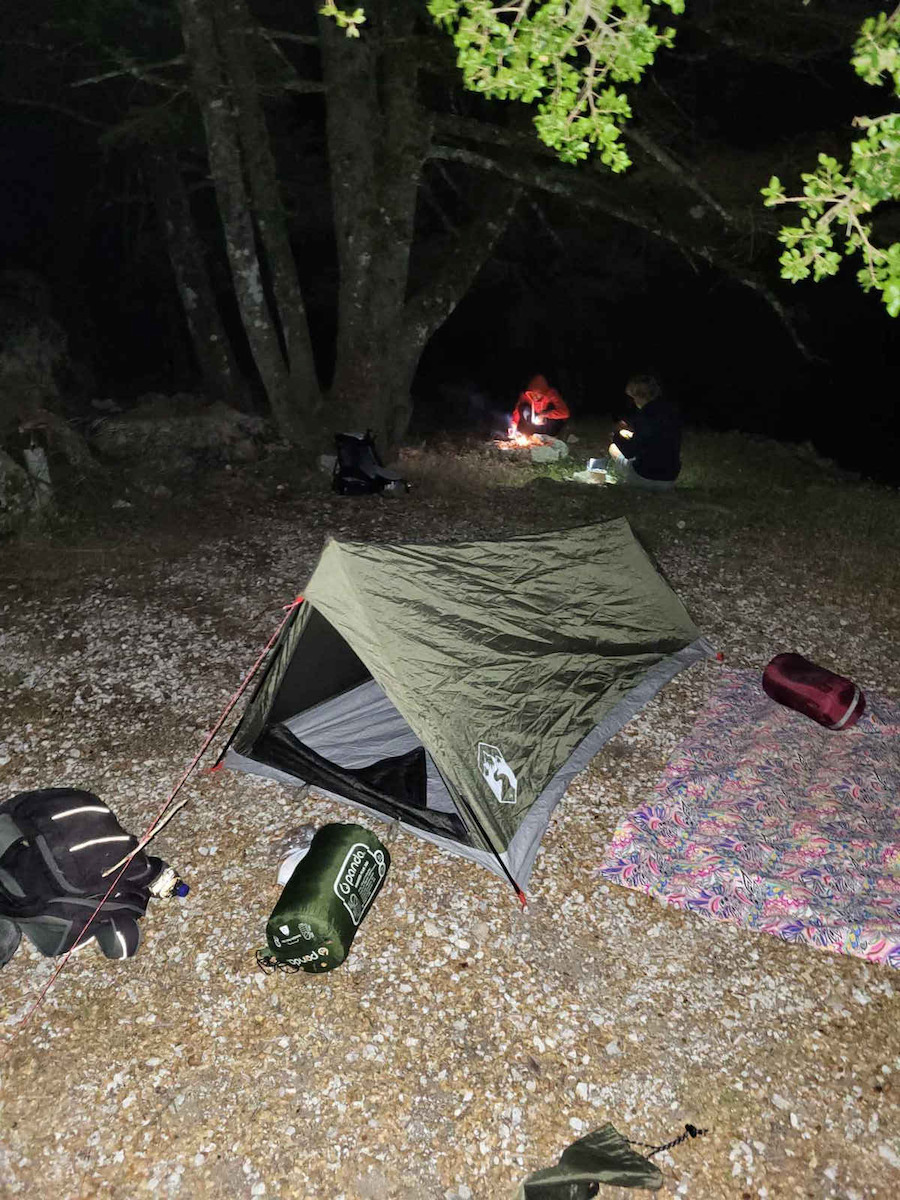 vidaXL Summer Camping Tent A-Frame Green for 2 People 212x132x90cm
