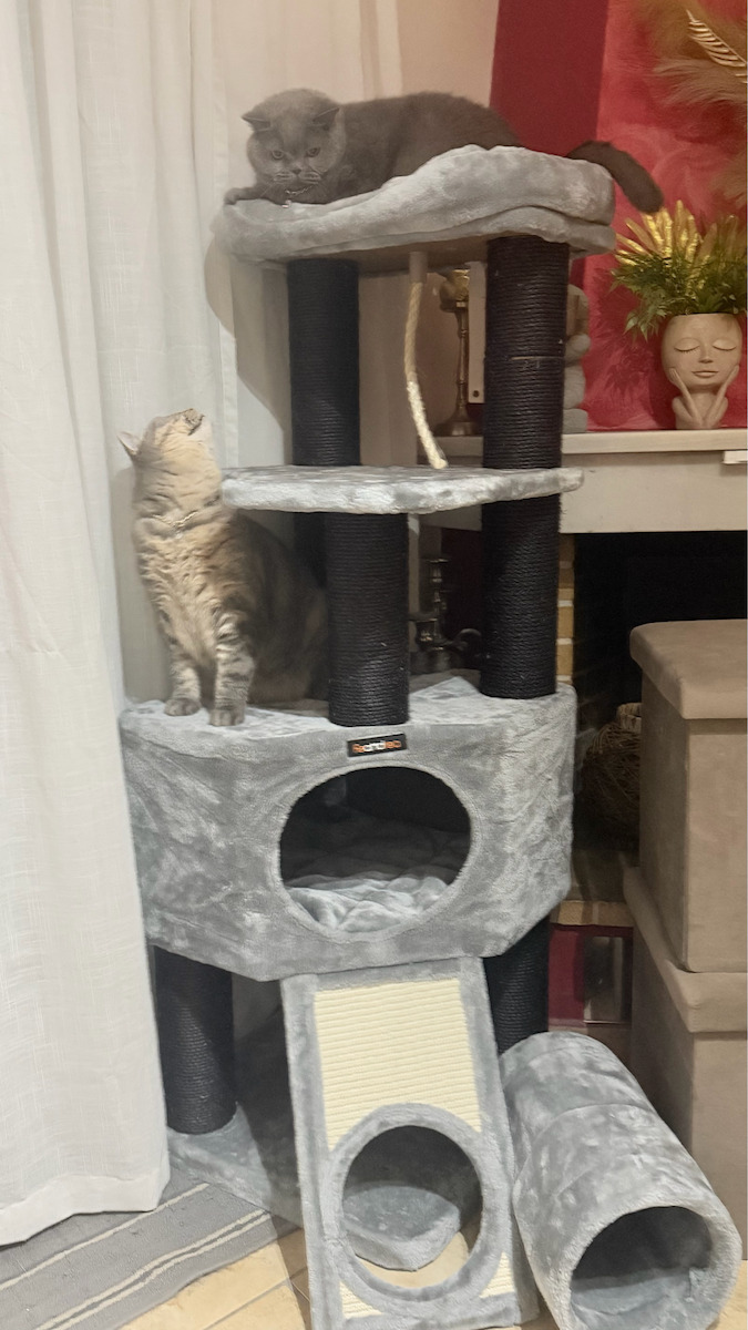 Feandrea Ονυχοδρόμιο Γατόδεντρο Γκρι 6 επιπέδων 50x50x141εκ.