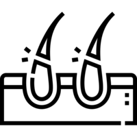 Αναδόμηση & Θρέψη
