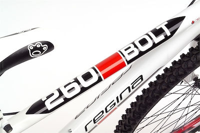 Regina Bolt 26" Suspension Fork