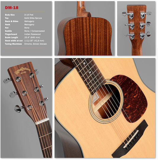 Sigma Guitars Acoustic Guitar Natural