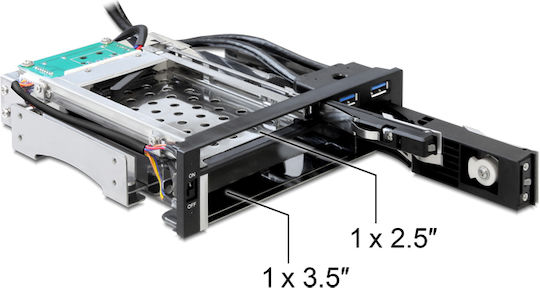 DeLock 47209 5,25 Рамка за 1 x 2,5 плюс 1 x 3,5 SATA 2x USB 3.2 Черен