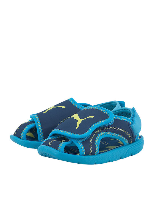 PUMA