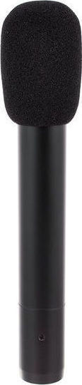 Audio Technica AT 2031 Condensator (Diafragmă Mică) Microfon XLR Montat pe amortizoare pentru Studio
