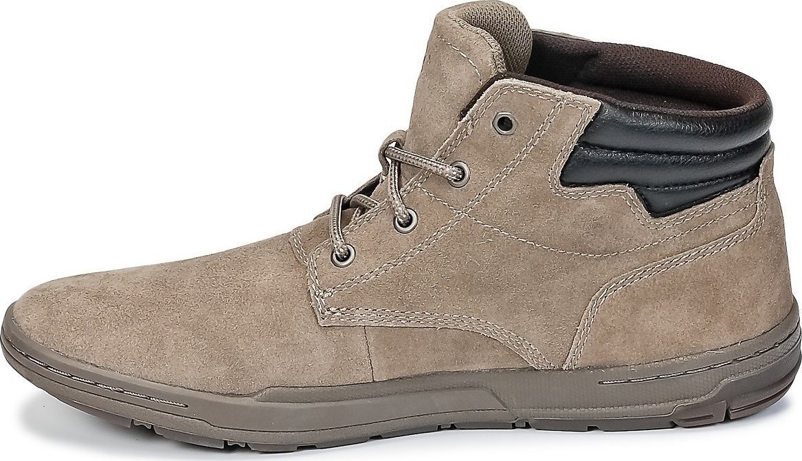 cat creedence boot