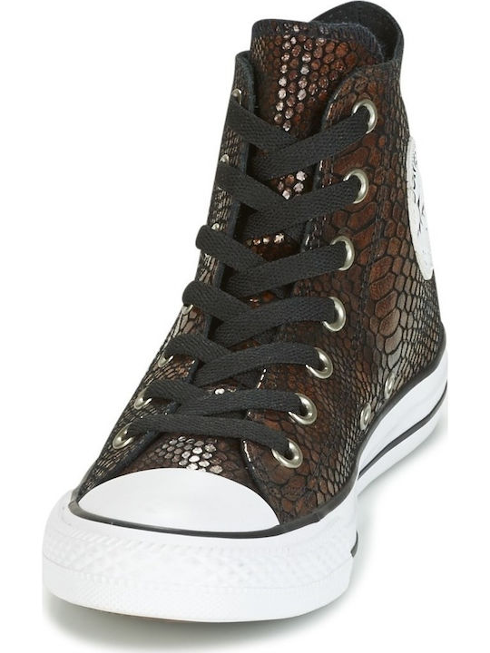 All Star Chuck Taylor Hi Snake Fashion Tip Botine Maro