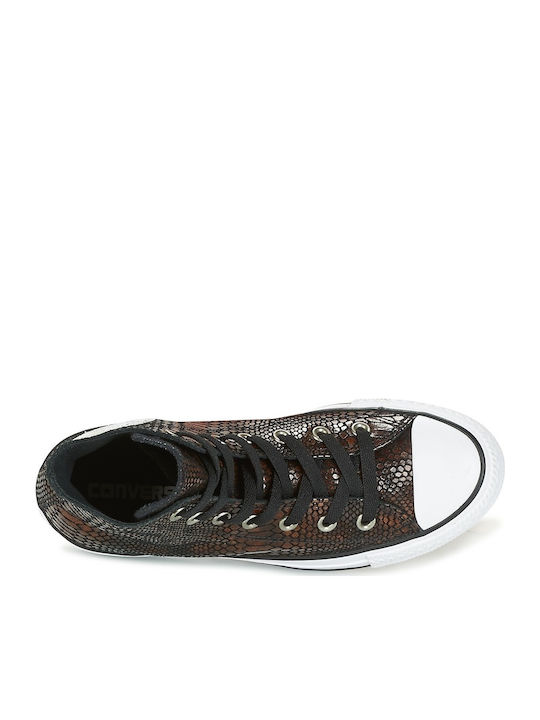 All Star Chuck Taylor Hi Snake Fashion Tip Botine Maro