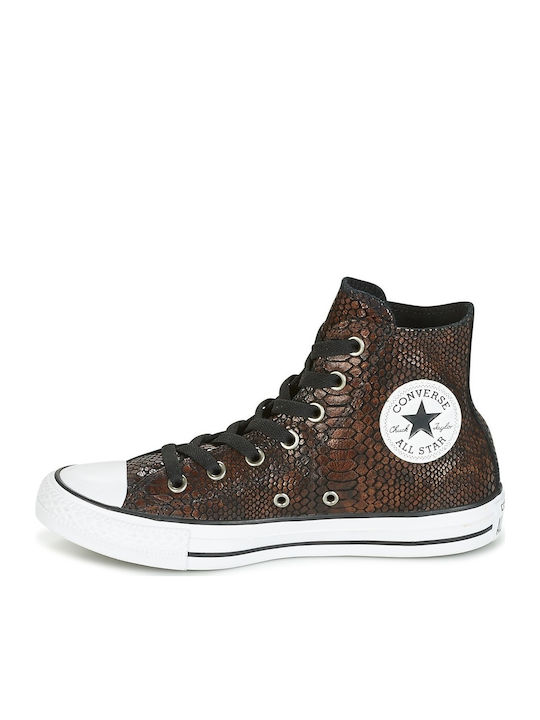 All Star Chuck Taylor Hi Snake Fashion Tip Botine Maro