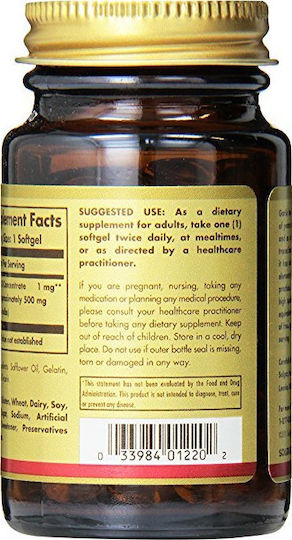 Solgar Garlic Oil 100 μαλακές κάψουλες