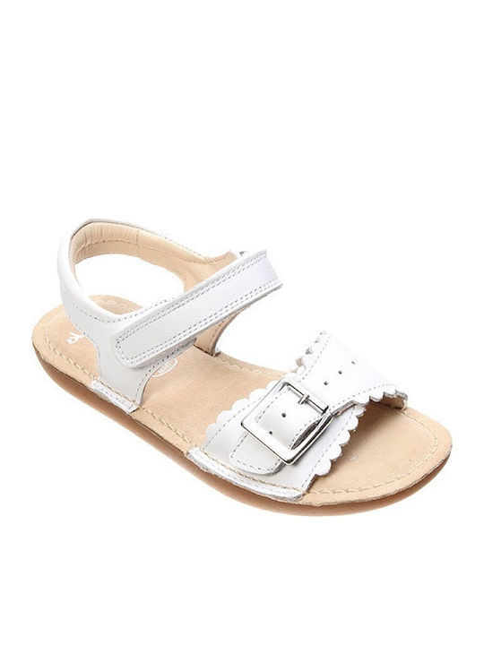 Clarks