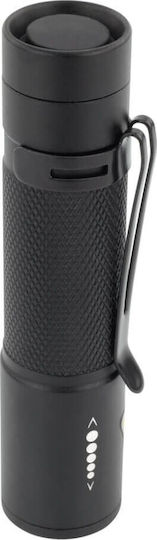 Ansmann Flashlight LED with Maximum Brightness 60lm Torch Future T50F Black
