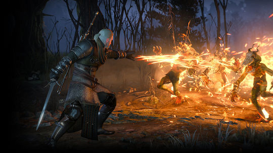 The Witcher 3 Wild Hunt Game of The Year Edition PS4 Game