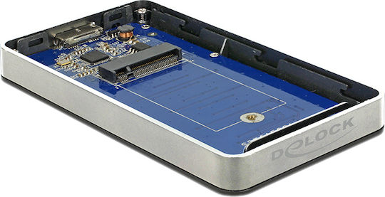 DeLock Θήκη για Σκληρό Δίσκο M.2 SATA III με σύνδεση USB 2.0