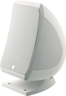Focal Sib