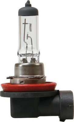 Lampa Lamps Car Halogen Lamp H8 Canbus Halogen 12V 35W 1pcs