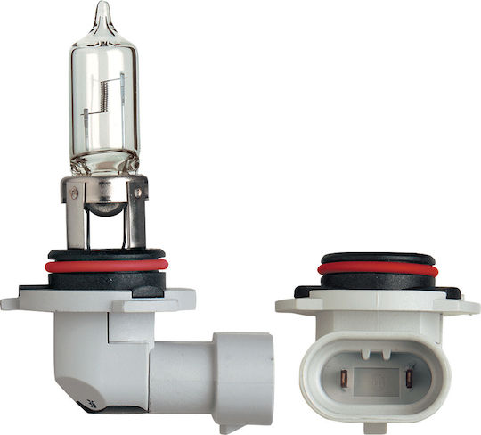 Narva Λάμπα Αυτοκινήτου & Μοτοσυκλέτας HB3-9005 Standard HB3-9005 Αλογόνου 12V 60W 1τμχ