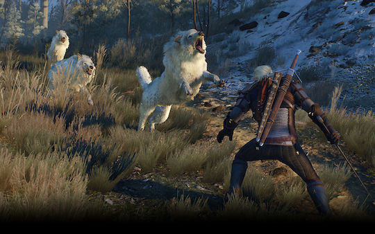 The Witcher 3: Wild Hunt Game of the Year Edition Xbox One Game