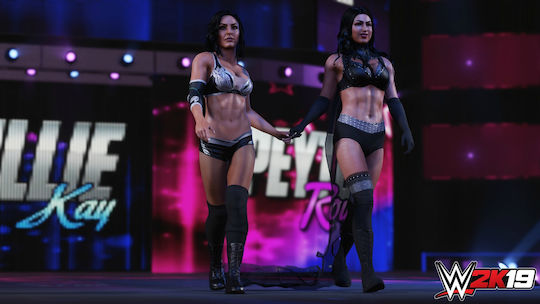 WWE 2K19 Xbox One Game