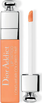 Dior Addict Lip Tattoo Lang anhaltend Flüssig Lippenstift Matt