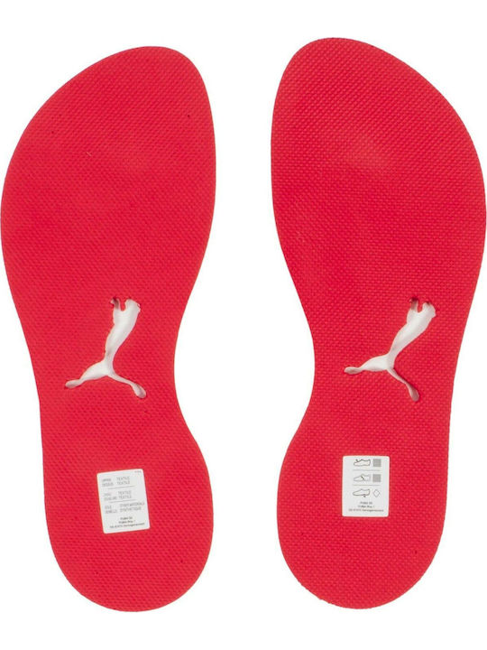 Dedo 2 Brazil Ανδρικά Flip Flops Μπλε