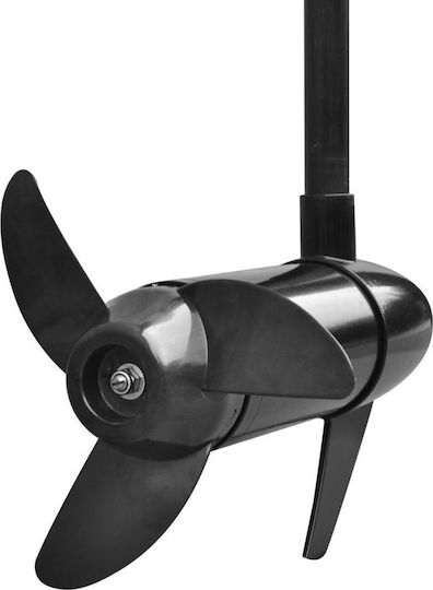 vidaXL P25 Ηλεκτρική Εξωλέμβια Μηχανή με Ώθηση 55lbs