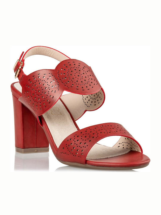 Envie Shoes