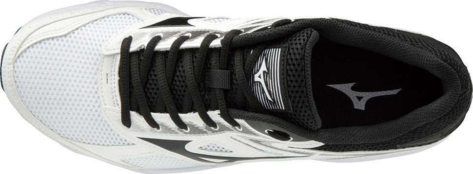 mizuno maximizer 21