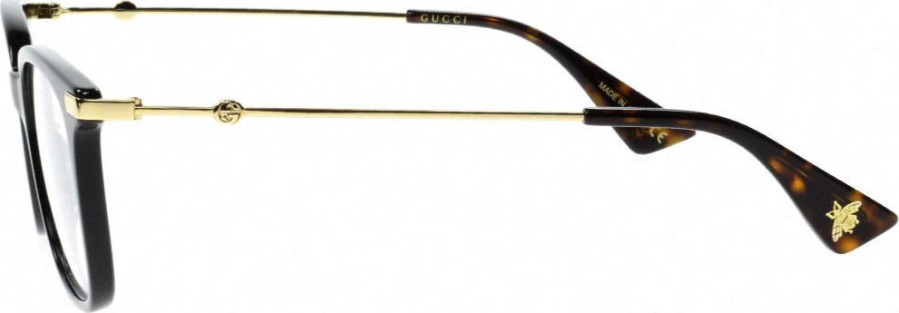 gucci gg0110o