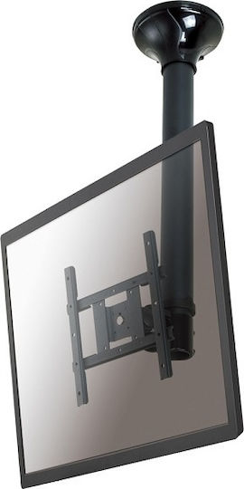 Newstar FPMA-C200BLACK FPMA-C200BLACK TV Mount Ceiling up to 40" and 20kg