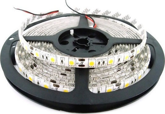 Atman Wasserdicht LED-Streifen 12V Natürliches Weiß Licht 5m Typ SMD5050