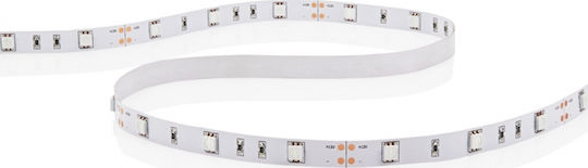 Atman Waterproof LED Strip 12V Natural White Light 5m Type SMD5050