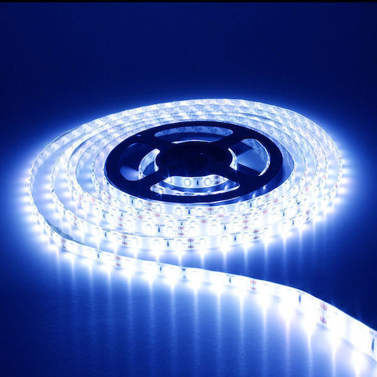 Atman Waterproof LED Strip 12V Blue Light 5m Type SMD3030