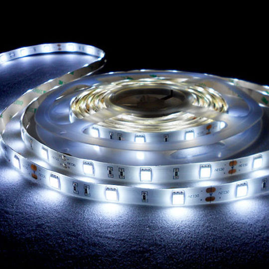 VK Lighting Ταινία LED 12V Ψυχρό Λευκό Φως 5m Τύπου SMD3528