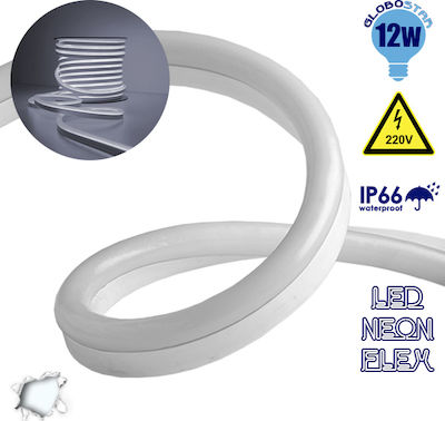 GloboStar Αδιάβροχη Ταινία Neon Flex LED 220V με Ψυχρό Λευκό Φως Μήκους 1m