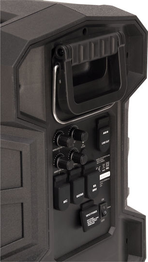 Ibiza Sound Karaoke Speaker with Wired Microphone and Lighting Effects WPORT10-300 Black