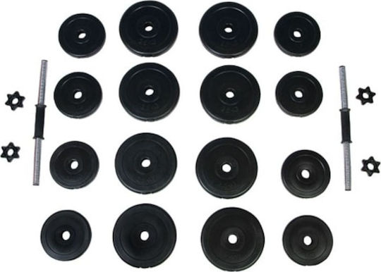vidaXL Αλτήρες Σετ 2x 15kg