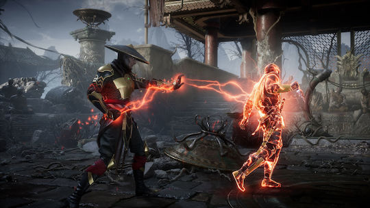 Mortal Kombat 11 Switch Game