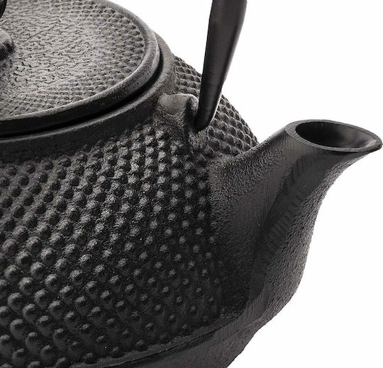 Bredemeijer Jang Teapot with Filter Cast Iron Black 800ml