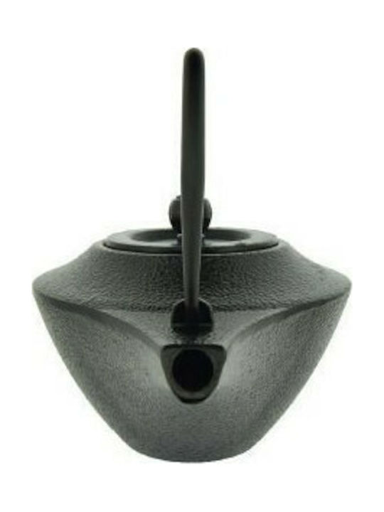 Dinox Teapot with Filter Cast Iron Black 500ml
