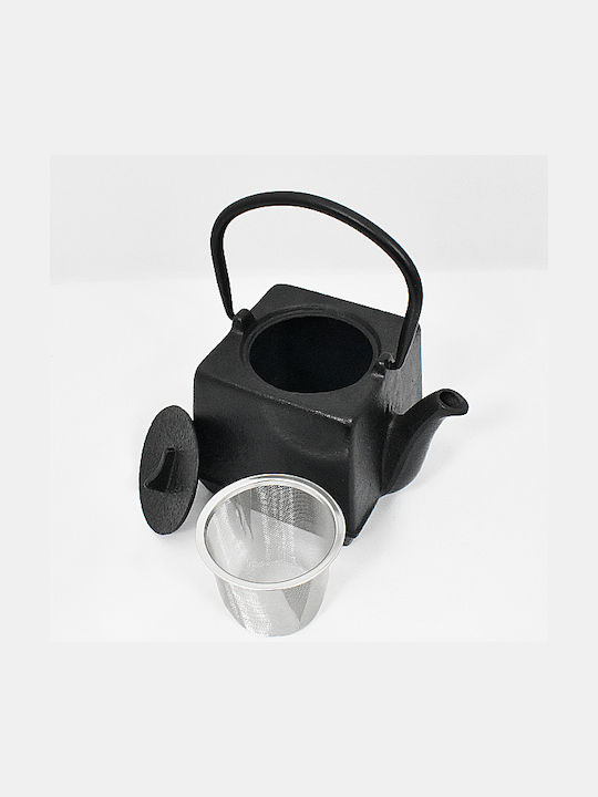 Teapot with Filter Cast Iron Black 800ml