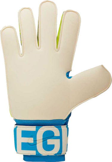 Nike Spyne Pro Adults Goalkeeper Gloves Blue