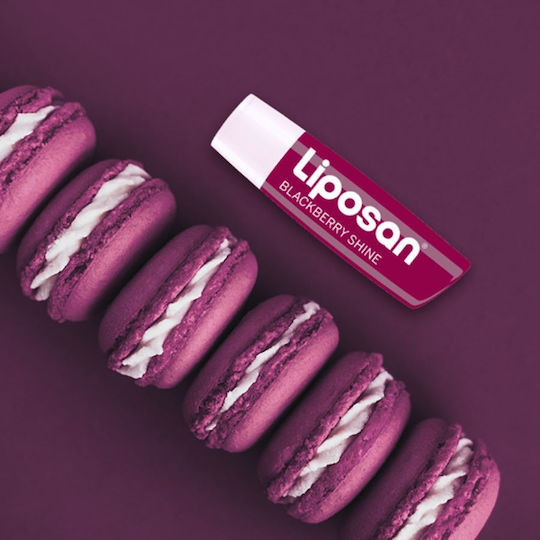 Liposan Fruity Shine Lip Balm Blackberry 4.8gr