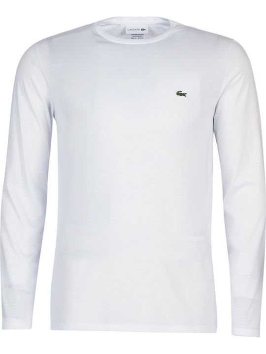 Lacoste T-shirt White